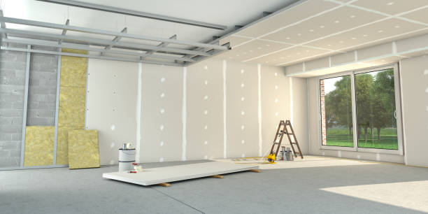 Best Insulation Removal Services  in Palm Valley, TX