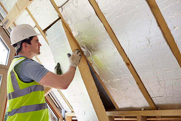 Best Local Insulation Services  in Palm Valley, TX